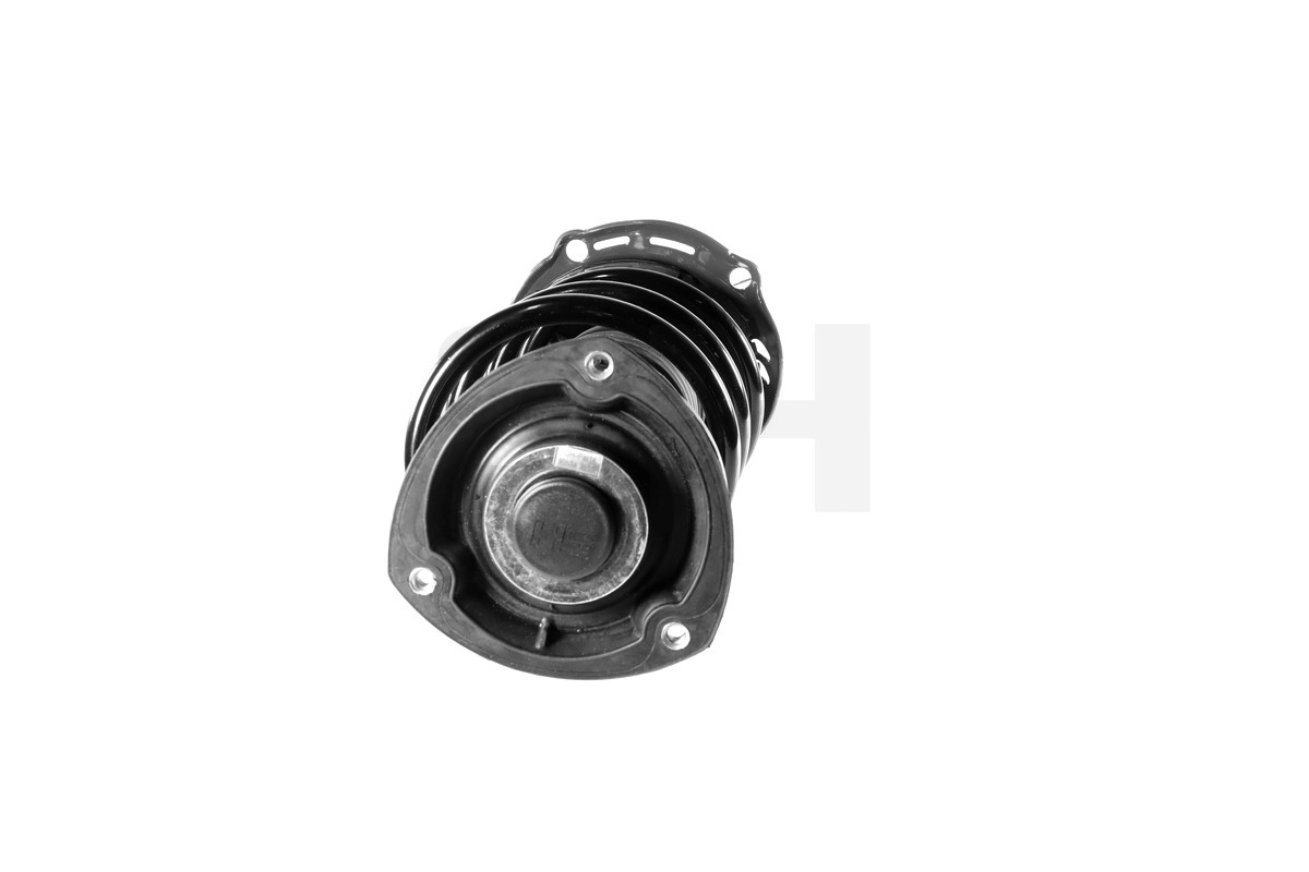 Suspension Strut