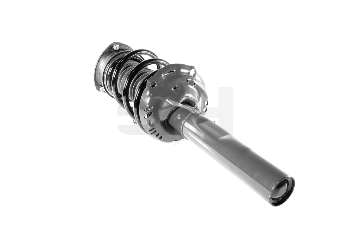 Suspension Strut (GH-359955C01)
