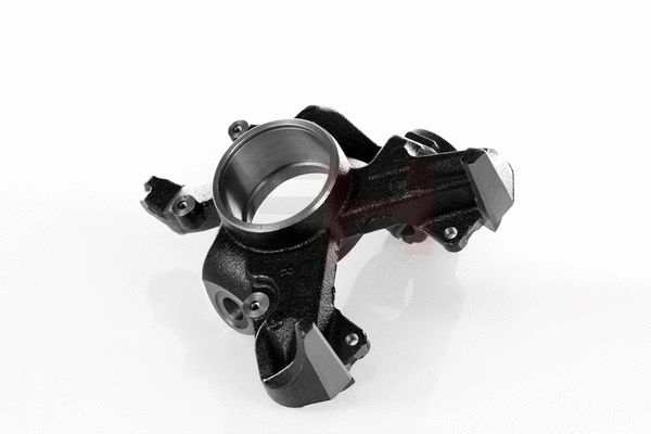 Steering Knuckle, wheel suspension