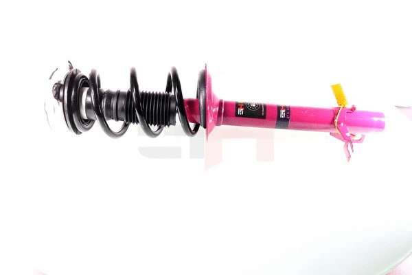Suspension Strut (GH+351960C11A)