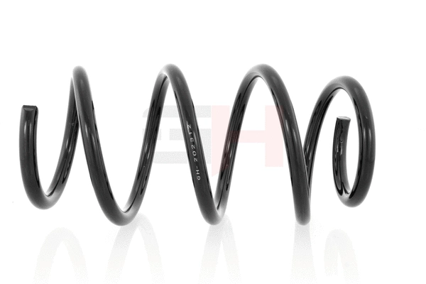 Suspension Spring (GH-202312)