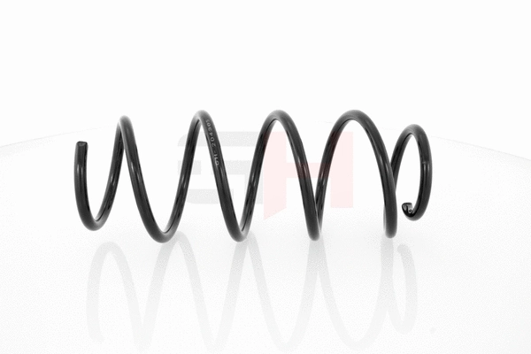 Suspension Spring (GH-204305)
