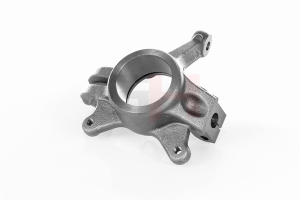 Steering Knuckle, wheel suspension (GH-293963V)