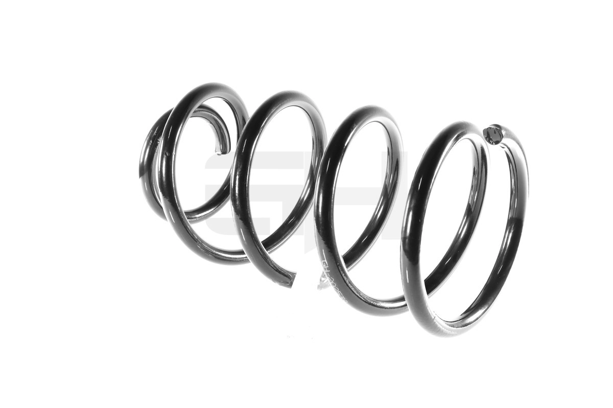 Suspension Spring (GH-202539)