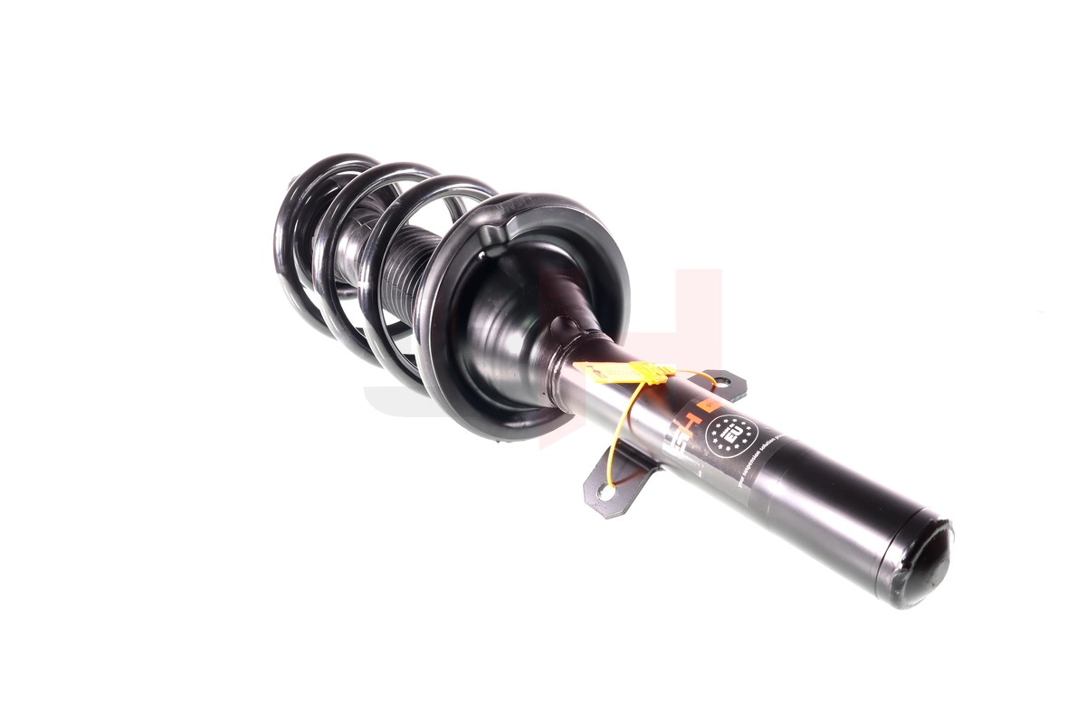 Suspension Strut (GH-352551C04)