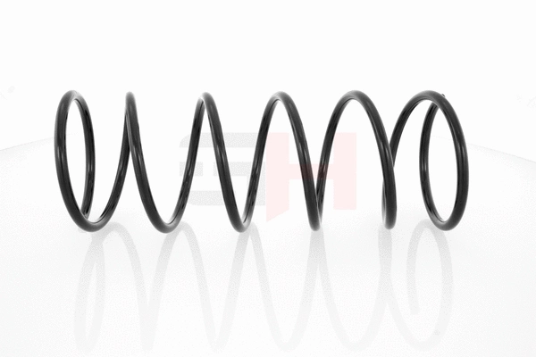 Suspension Spring (GH-203705)