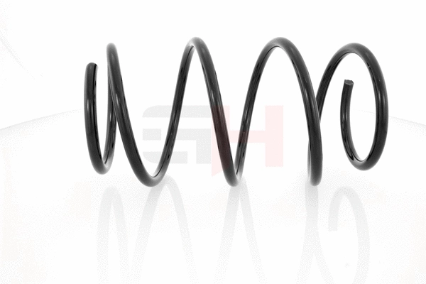Suspension Spring (GH-209301)
