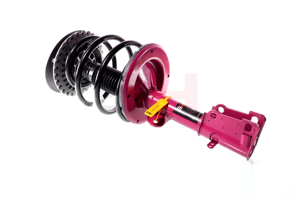 Suspension Strut