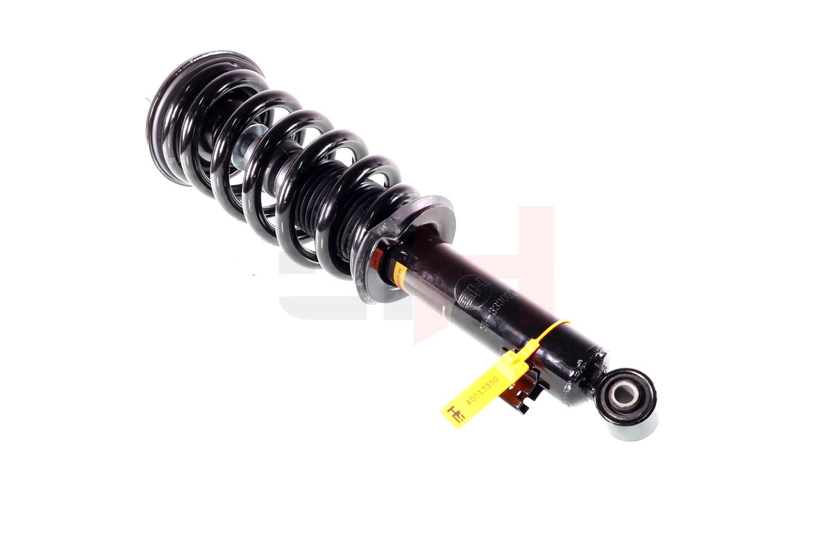 Suspension Strut (GH-333009C01)