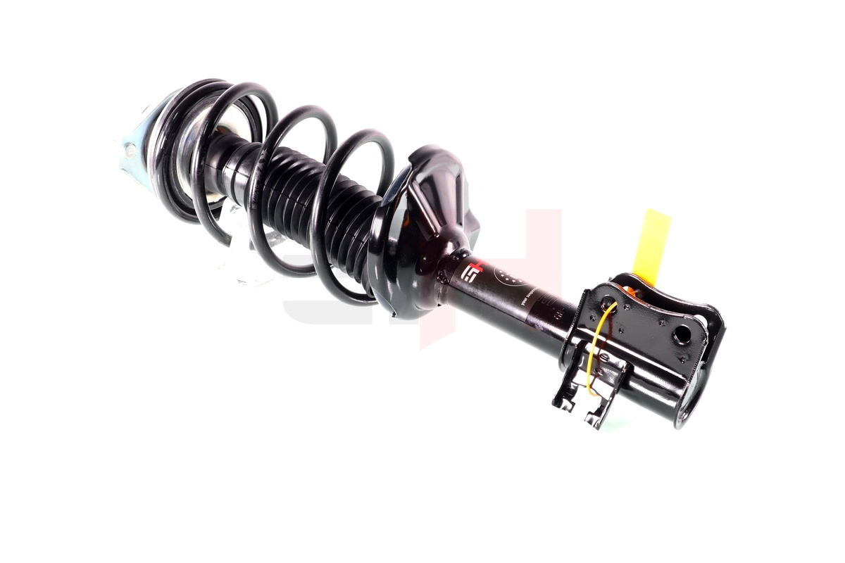 Suspension Strut (GH-355248C01)