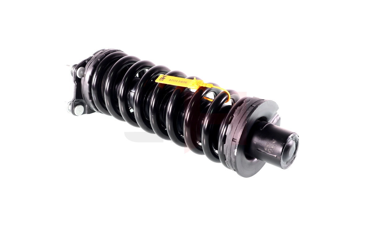 Suspension Strut (GH-339379C01)