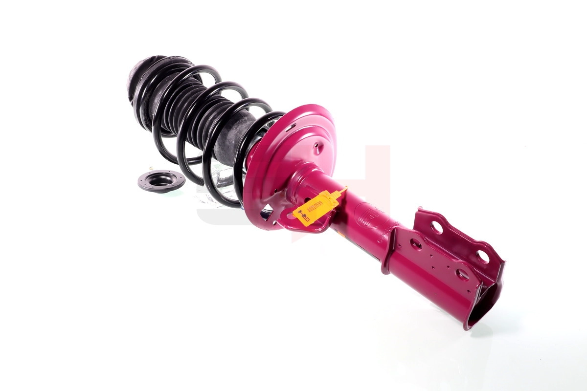 Suspension Strut (GH+354582C01)