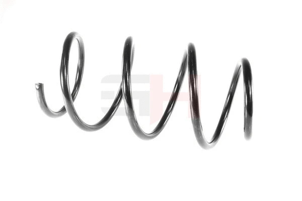 Suspension Spring (GH-204519)