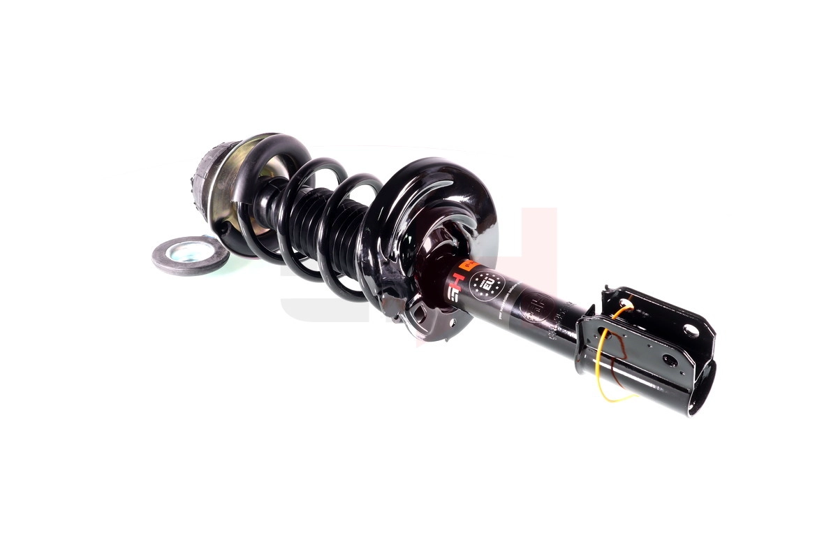 Suspension Strut (GH-353995C01)