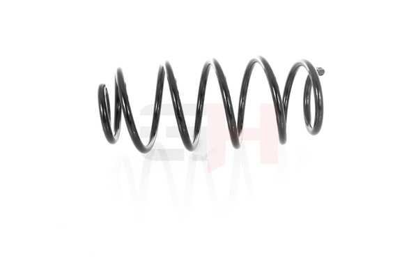 Suspension Spring (GH-224801)