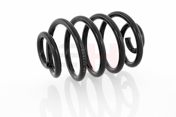 Suspension Spring