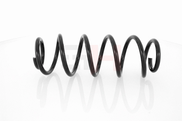 Suspension Spring (GH-204706)