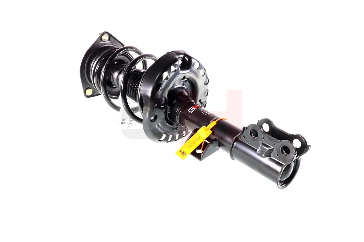 Suspension Strut (GH-353497C01)