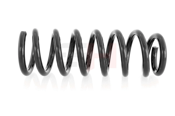 Suspension Spring (GH-205203)
