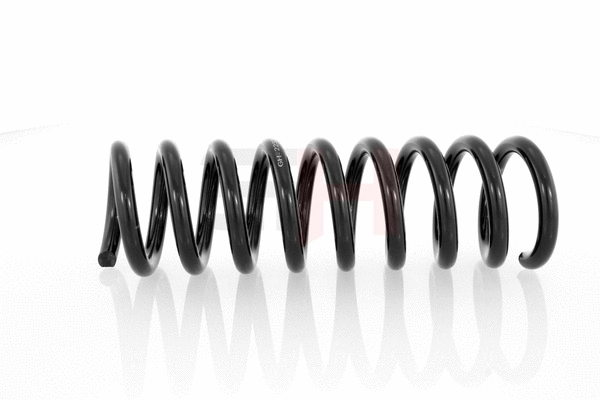 Suspension Spring (GH-223306)