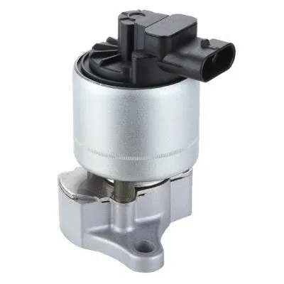 EGR Valve (GI2045)