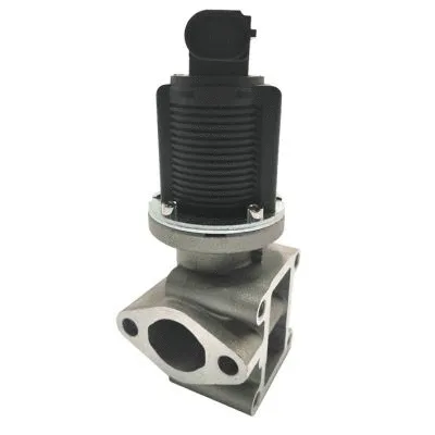 EGR Valve (GI2052)