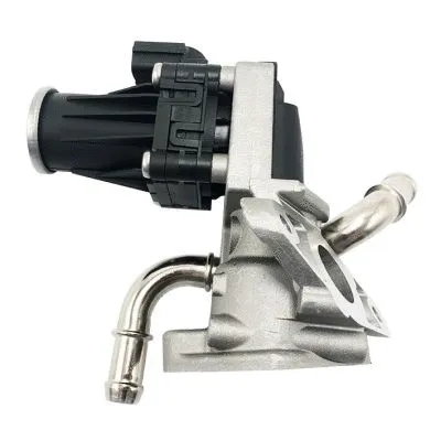 EGR Valve (GI2014)
