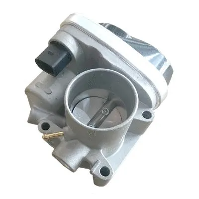 Throttle Body (GI7004)