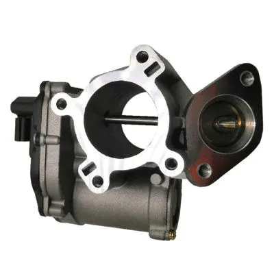 EGR Valve (GI2005)