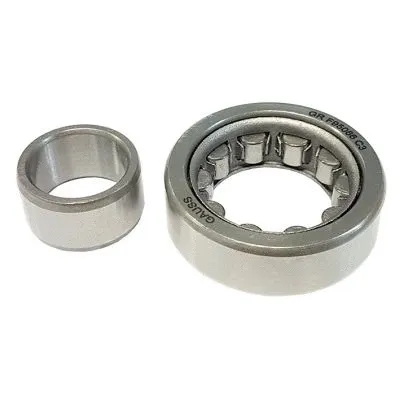 Bearing (GRF95066)