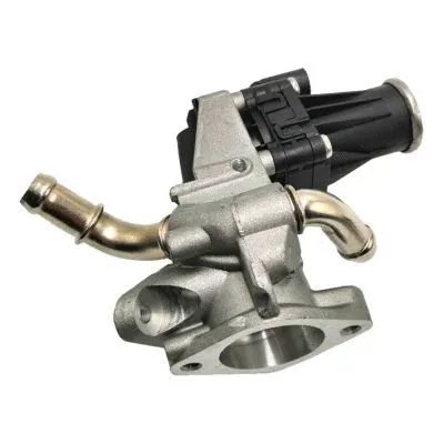 EGR Valve (GI2015)