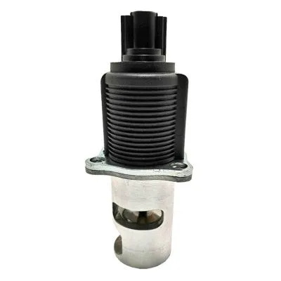 EGR Valve (GI2055)