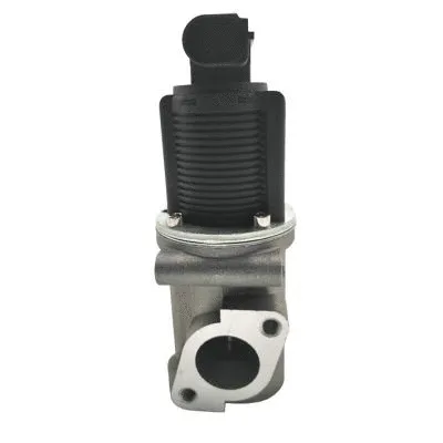 EGR Valve (GI2054)