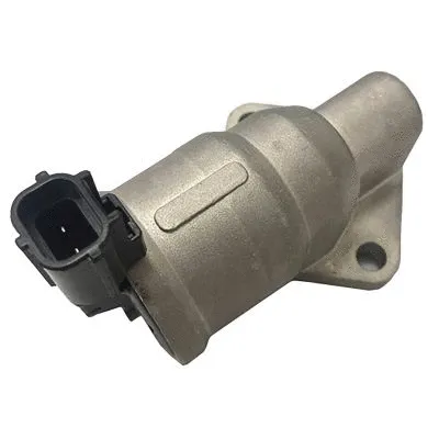 Idle Control Valve, air supply (GS6978)