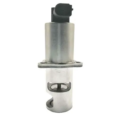 EGR Valve (GI2040)