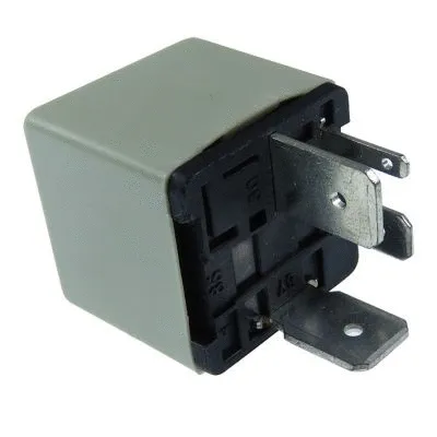 Relay, fuel injection (GE0052)