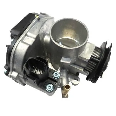 Throttle Body (GI7019)
