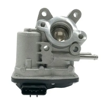 EGR Valve (GI2004)