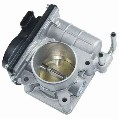 Throttle Body (GI7119)