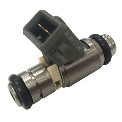 Injector (GI9113)