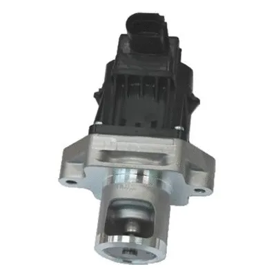 EGR Valve (GI2020)