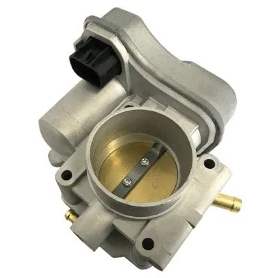 Throttle Body (GI7546)