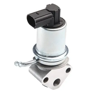 EGR Valve (GI2028)