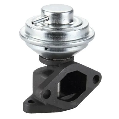 EGR Valve (GI2033)