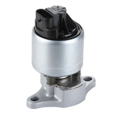 EGR Valve (GI2022)