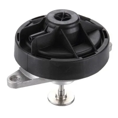 EGR Valve (GI2041)