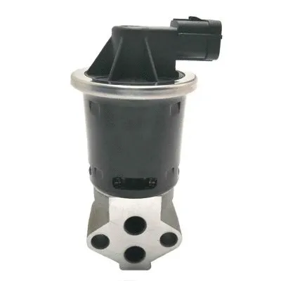 EGR Valve (GI2044)