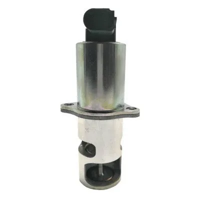 EGR Valve (GI2039)