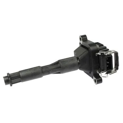 Ignition Coil (GC4219)
