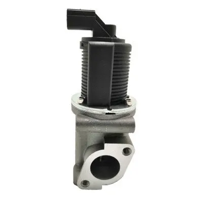 EGR Valve (GI2037)